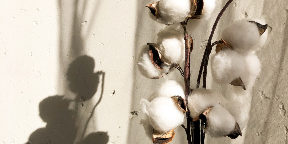 Cotton Anniversary Gifts for Her